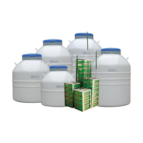 Laboratory Liquid Nitrogen Container